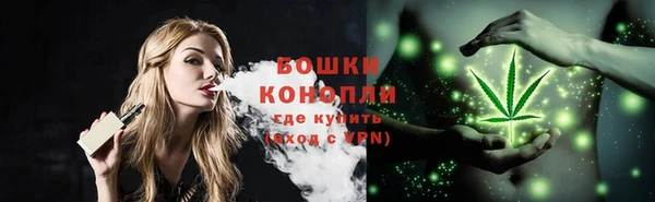 ГАЛЛЮЦИНОГЕННЫЕ ГРИБЫ Новодвинск
